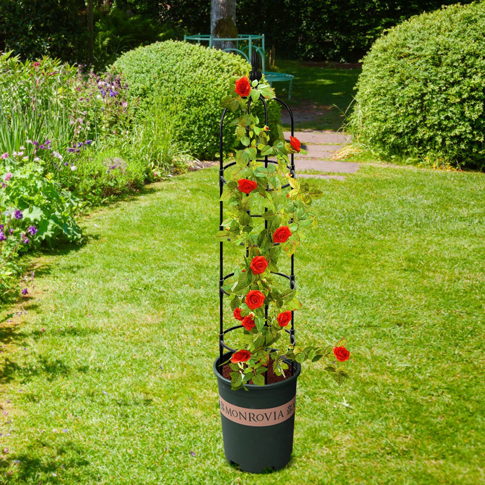 Obelisk Plant Climbing Plant Vine Rack Garden Plant Climbing Trellis Spliced Steel Flower Frame Stand Plant Potted Support Frame
Obelisk Plant Climbing Plant Vine Rack Garden Plant Climbing Trellis Spliced Steel Flower Frame Stand Plant Potted Support Frame
