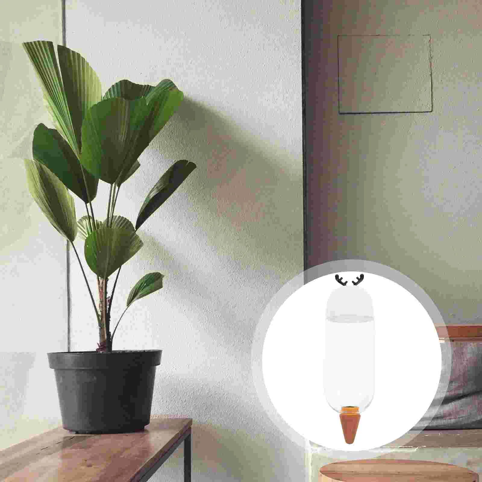 DIY Watering Bulb Household Tools Glass Bulb Waterer Automatic Watering Spike Self Watering Balls Succulants
DIY Watering Bulb Household Tools Glass Bulb Waterer Automatic Watering Spike Self Watering Balls Succulants