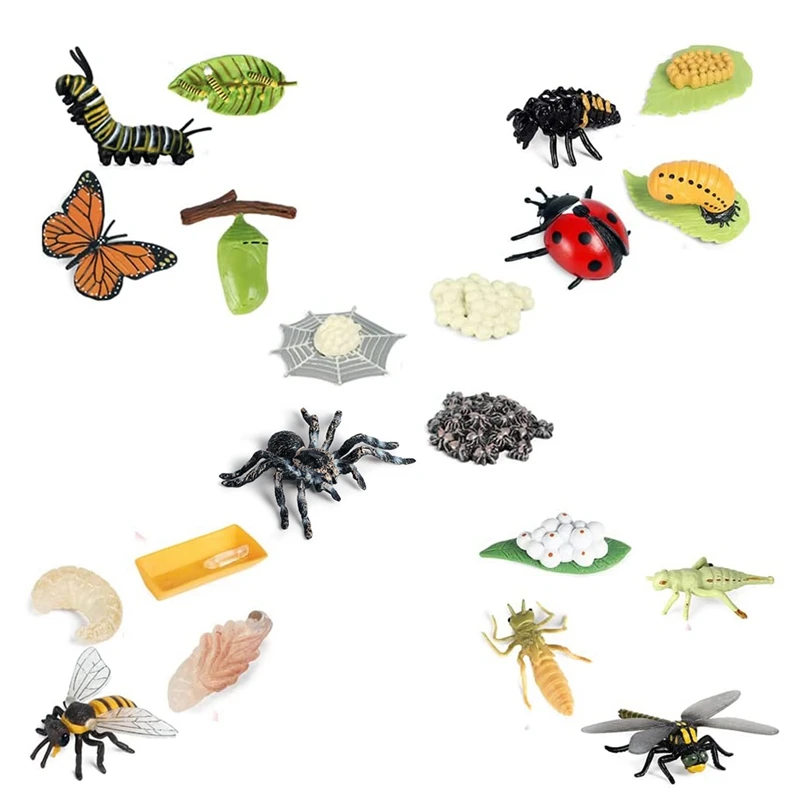Life Cycle Figurines Of Butterfly Spider Bee Ladybug Dragonfly, Plastic Insect Bug Figures Toy, School Project For Kids
Life Cycle Figurines Of Butterfly Spider Bee Ladybug Dragonfly, Plastic Insect Bug Figures Toy, School Project For Kids