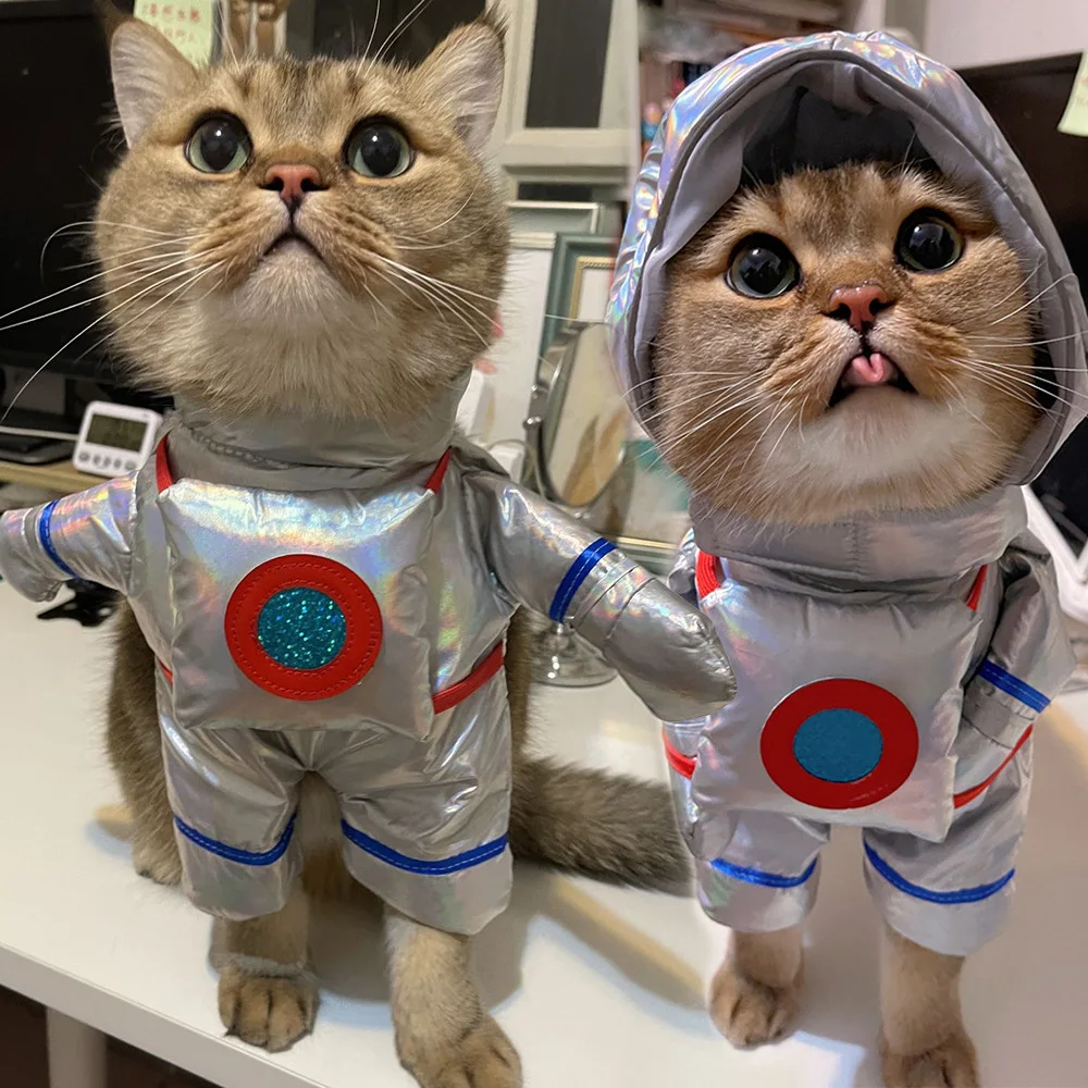 Pet Astronaut Standing Up Transformation Outfit Funny Pet Dog Cat Halloween Costume Dog Costumes for Small Dogs
Pet Astronaut Standing Up Transformation Outfit Funny Pet Dog Cat Halloween Costume Dog Costumes for Small Dogs