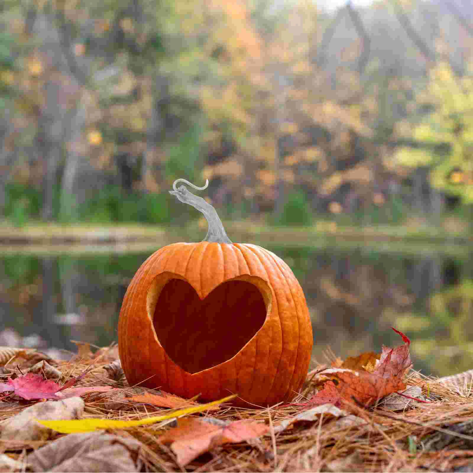 50Pcs Pumpkin Stems, Pumpkin DIY Handles, Jack Lantern Ornament Pumpkin for Harvest Festival Pumpkin Accessories ( Mixed Styles
50Pcs Pumpkin Stems, Pumpkin DIY Handles, Jack Lantern Ornament Pumpkin for Harvest Festival Pumpkin Accessories ( Mixed Styles
