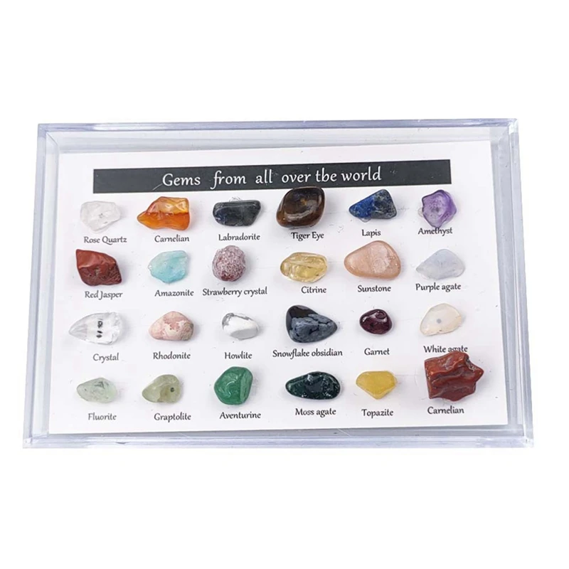 3PCS Mini Natural Crystal Agate Stone Mineral And Fossil Complete Rock Collection Christmas Countdown Calendar
3PCS Mini Natural Crystal Agate Stone Mineral And Fossil Complete Rock Collection Christmas Countdown Calendar