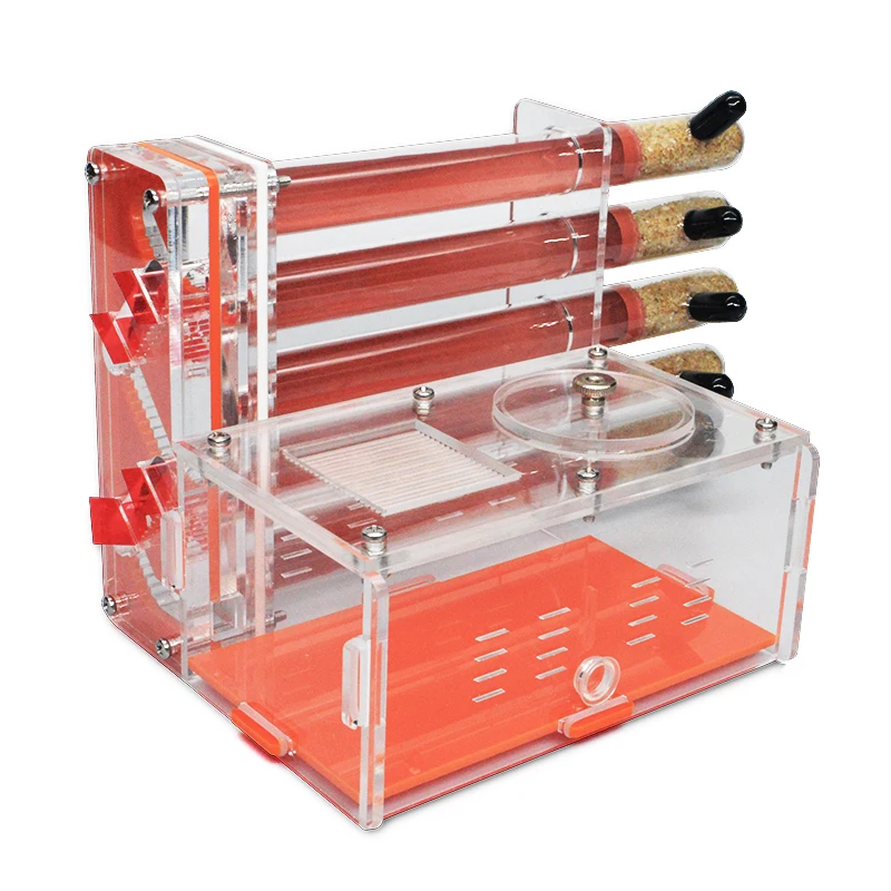 DIY Acrylic Ant Farm with Feeding Area Ants House Workshop 5 Plaster Tubes Ant Nest Insect Gypsum Test Tube Nest Pet Anthill
DIY Acrylic Ant Farm with Feeding Area Ants House Workshop 5 Plaster Tubes Ant Nest Insect Gypsum Test Tube Nest Pet Anthill