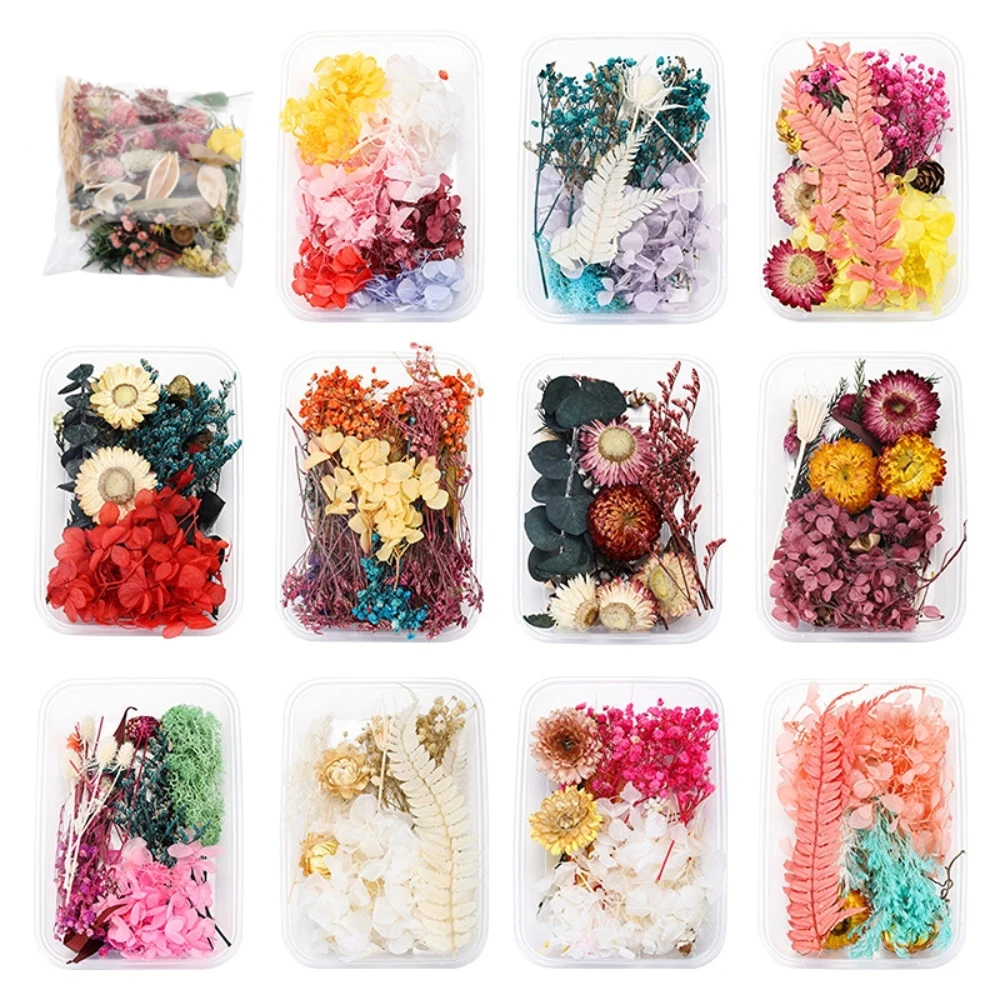 1 Box DIY Natural Dried Flower Preserved Fresh Flower Epoxy Resin Handicrafts Material Wedding Garden Wall Home Party Decoration
1 Box DIY Natural Dried Flower Preserved Fresh Flower Epoxy Resin Handicrafts Material Wedding Garden Wall Home Party Decoration