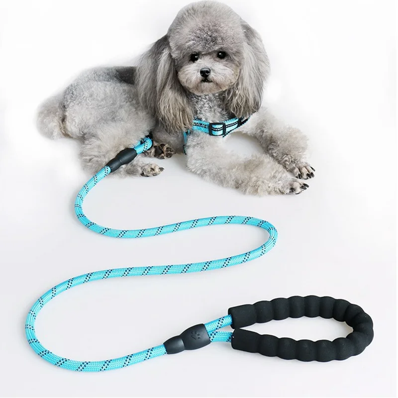 Popular Training Safety Walking Dog Traction Rope Reflective Round Rope Pet Traction Harness Strong Nylon Dog Leash 150cm
Popular Training Safety Walking Dog Traction Rope Reflective Round Rope Pet Traction Harness Strong Nylon Dog Leash 150cm