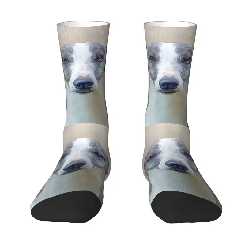 Cute Whippet Elegance Socks Men Women Warm 3D Printed Greyhound Sihthound Dog Basketball Sports Socks
Cute Whippet Elegance Socks Men Women Warm 3D Printed Greyhound Sihthound Dog Basketball Sports Socks