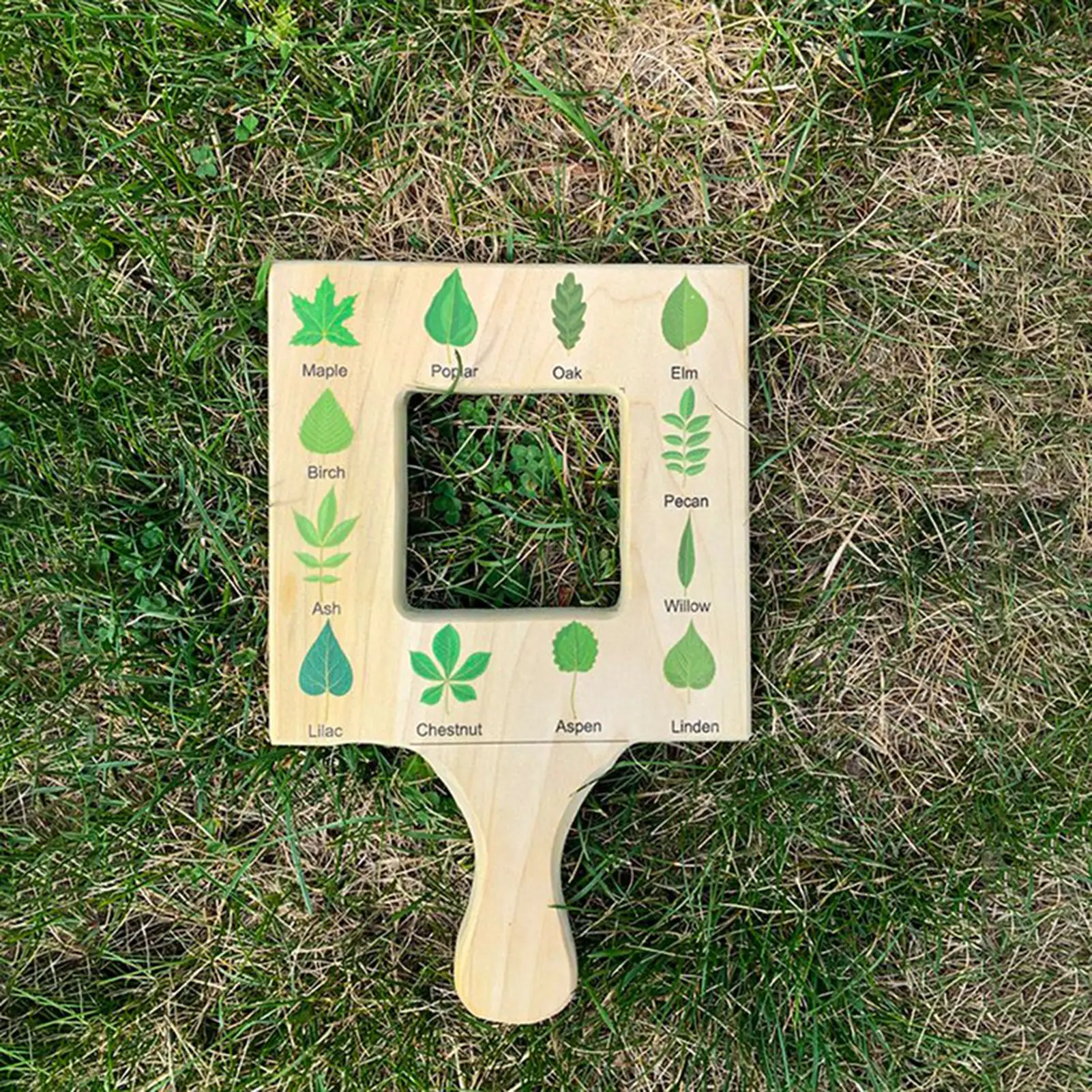 Nature Oriented Compass Cloud Identification Guide Compass Professional Field Compass For Map Reading Camping And Navigation
Nature Oriented Compass Cloud Identification Guide Compass Professional Field Compass For Map Reading Camping And Navigation