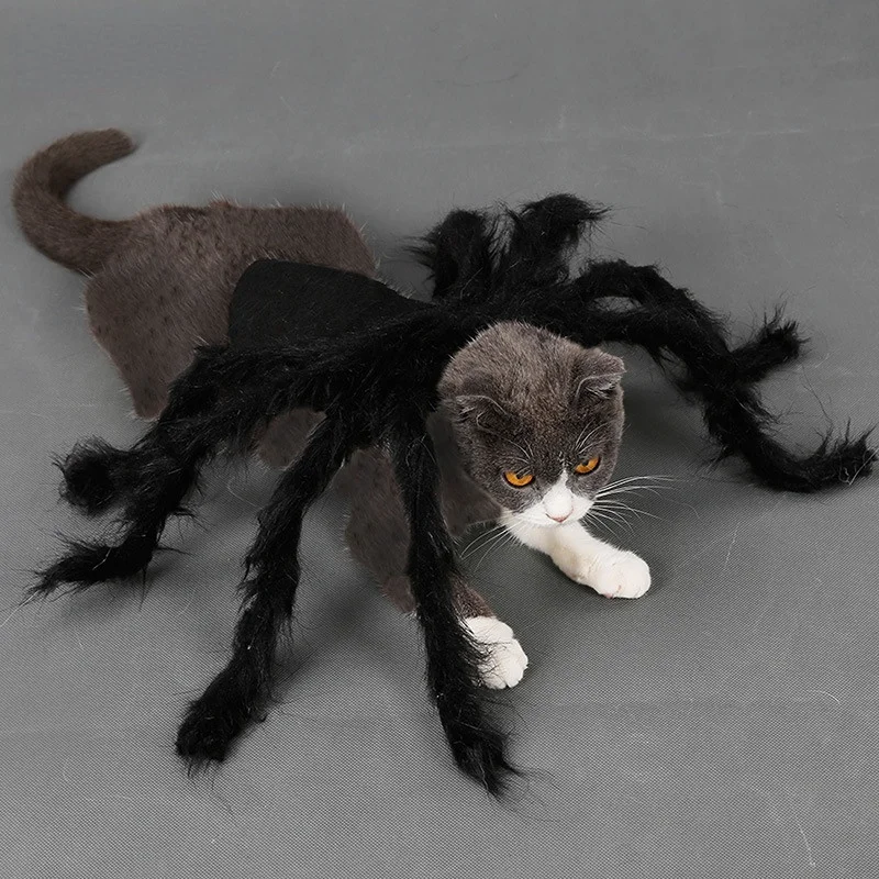 Костюм для Хэллоуина, кота, паука, Летний жилет для кошки, толстовка, удобная забавная одежда, искусственная одежда, свитшот, наряд, Прямая по...
Костюм для Хэллоуина, кота, паука, Летний жилет для кошки, толстовка, удобная забавная одежда, искусственная одежда, свитшот, наряд, Прямая по...