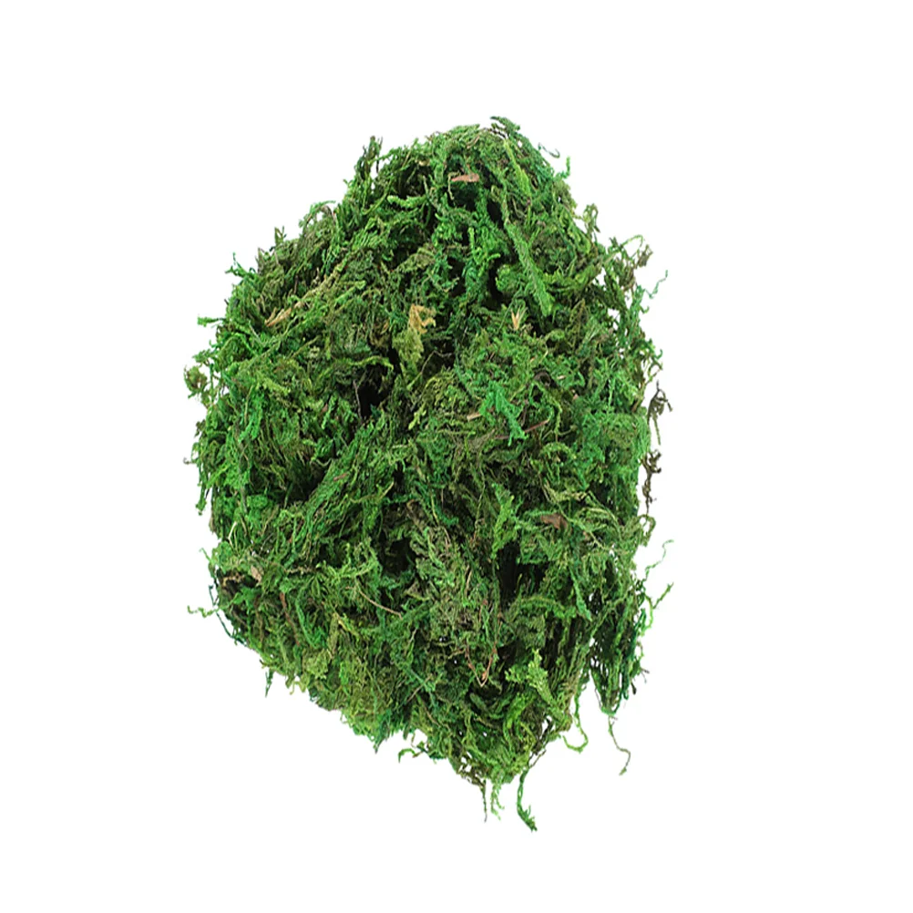 3 Bags Useful Dried Natural Moss Plants Fresh Bonsai Decorative Moss for Wall Landscaping Flowerpot
3 Bags Useful Dried Natural Moss Plants Fresh Bonsai Decorative Moss for Wall Landscaping Flowerpot