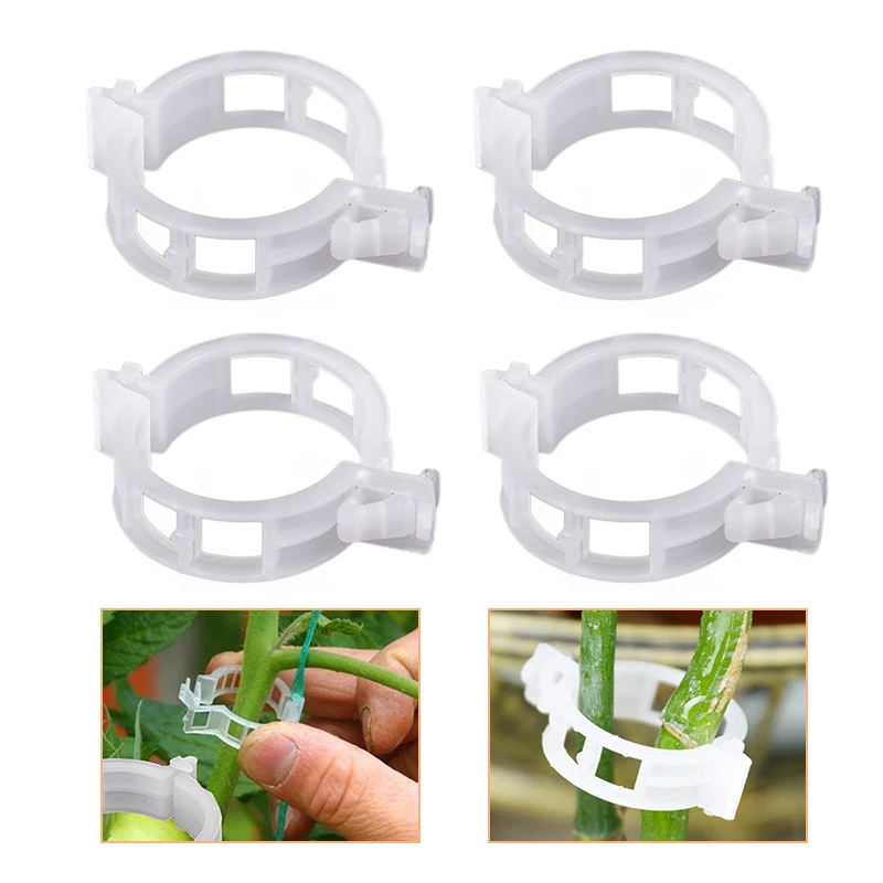 50/100pcs plastic plant clips Gardening supplies Vine and vegetable fixing Reusable grafting tool Agricultural for garden
50/100pcs plastic plant clips Gardening supplies Vine and vegetable fixing Reusable grafting tool Agricultural for garden