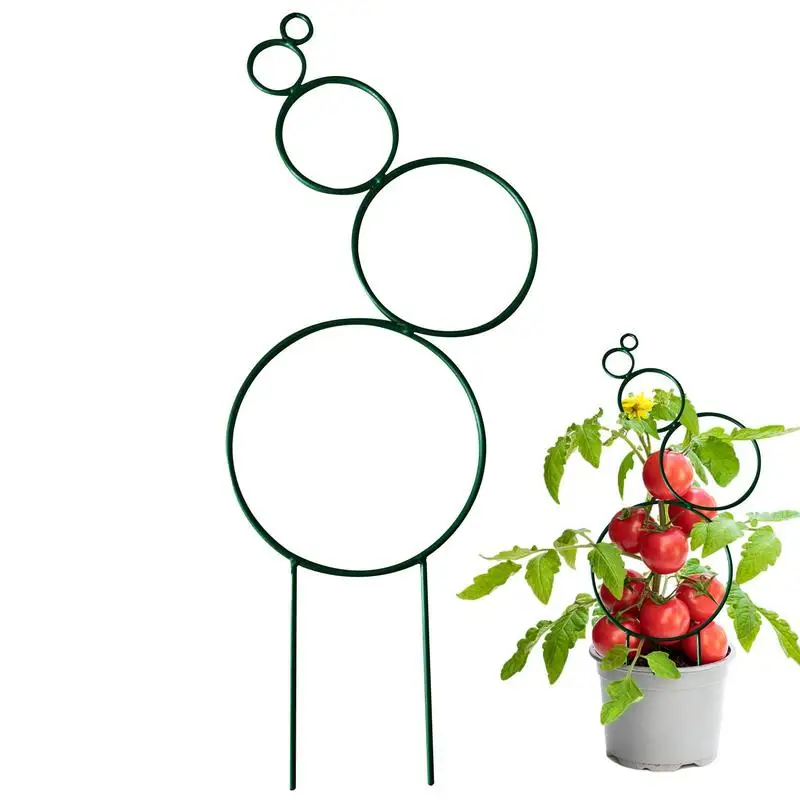 Iron Garden Trellis Small Stackable Metal Wire Houseplant Trellis For Climbing Plants Support Indoor Plant Trellis Decorate
Iron Garden Trellis Small Stackable Metal Wire Houseplant Trellis For Climbing Plants Support Indoor Plant Trellis Decorate