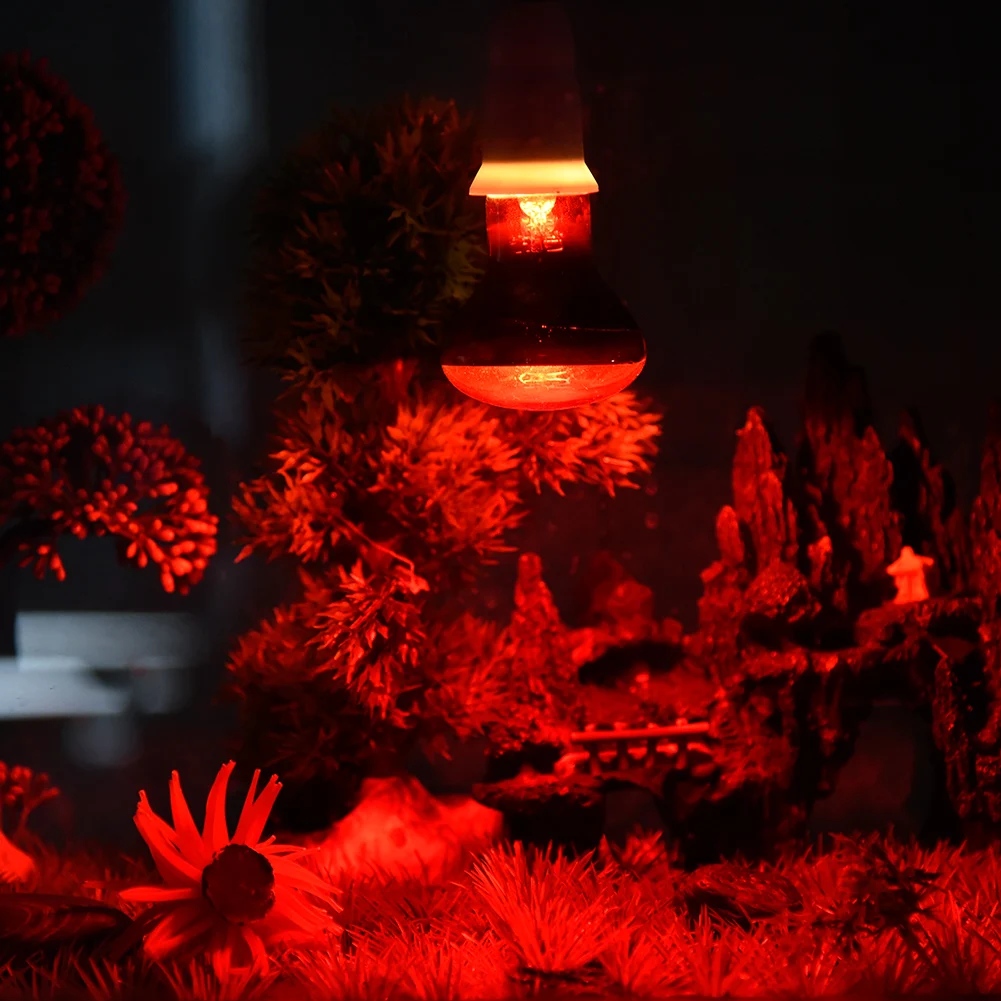 Reptile Heating Lamb Amphibian Bird Snake Lamb Red Light Night Warm Heating Insulation Lamp For Lizards Turtles Animal Lighting
Reptile Heating Lamb Amphibian Bird Snake Lamb Red Light Night Warm Heating Insulation Lamp For Lizards Turtles Animal Lighting