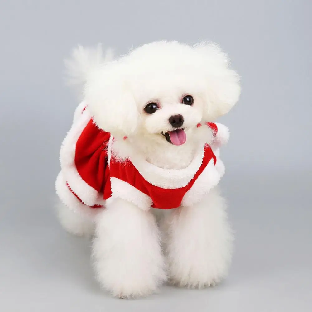 Pet Skirt Stylish Elegant Attractive Christmas Pet Princess Dress for Winter Pet Christmas Dress Pet Dress
Pet Skirt Stylish Elegant Attractive Christmas Pet Princess Dress for Winter Pet Christmas Dress Pet Dress