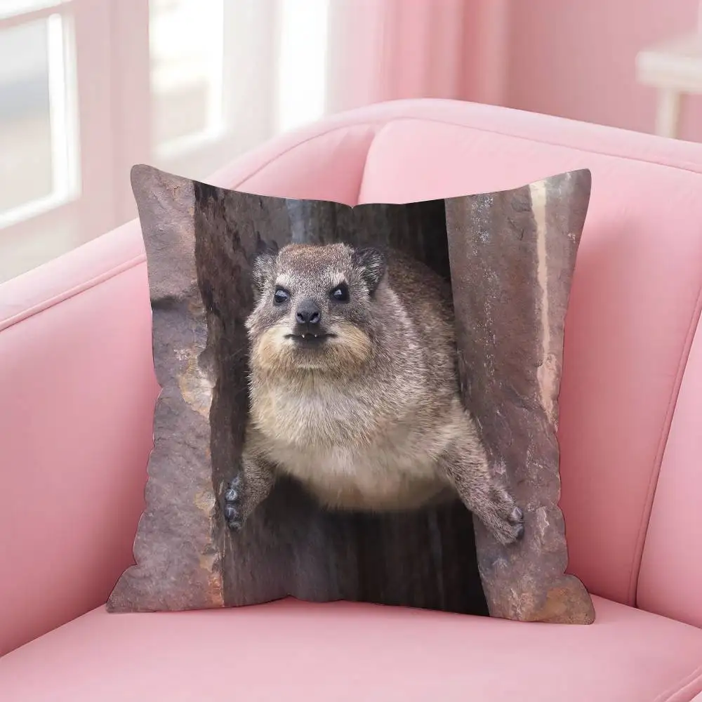 Kwaii Аниме Рок Hyrax Наволочка из флиса
Kwaii Аниме Рок Hyrax Наволочка из флиса