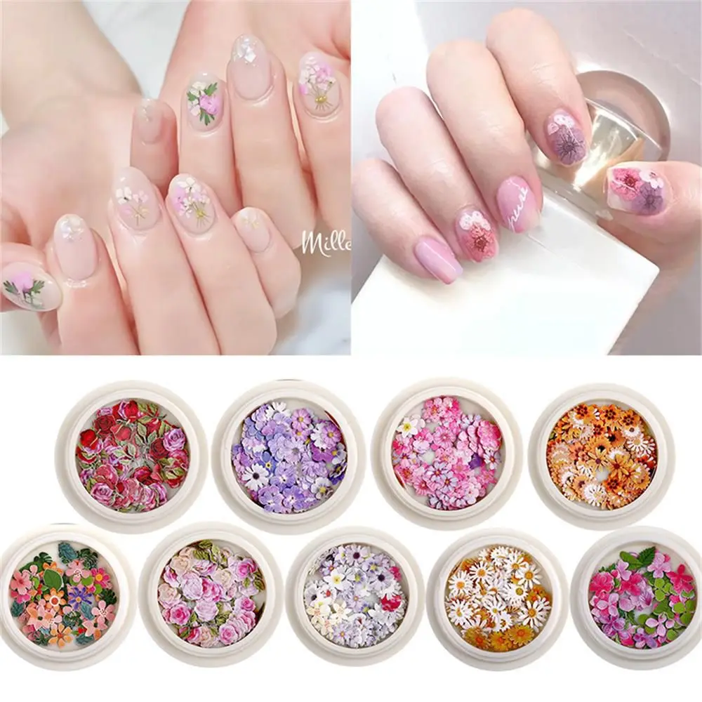 DIY Manicure Glitter Flakes Romantic Rose Wood Pulp Flakes Nail Paillettes Nail Art Sequins Holographic Ultrathin
DIY Manicure Glitter Flakes Romantic Rose Wood Pulp Flakes Nail Paillettes Nail Art Sequins Holographic Ultrathin