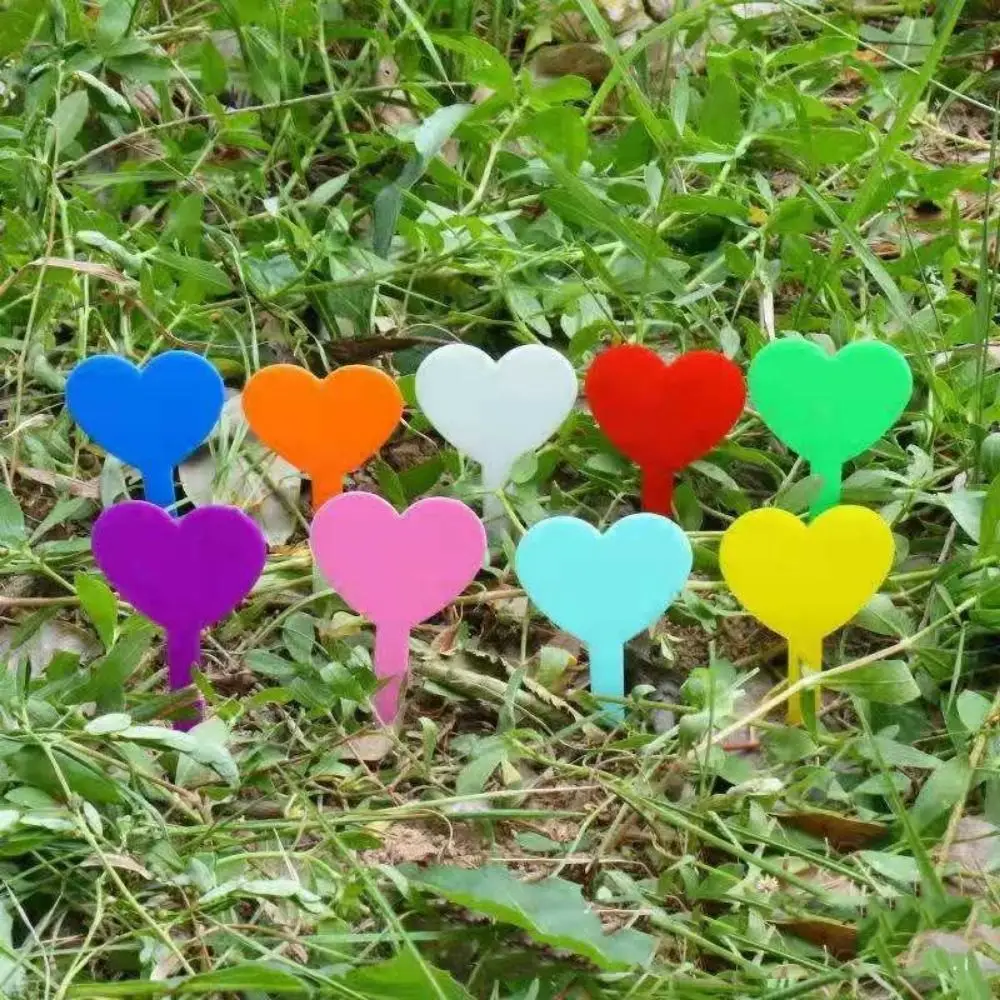 100PCS Waterproof Sign Stakes Nursery Plastic Plant Labels Flower Herb Tags Heart Shape Pot Markers
100PCS Waterproof Sign Stakes Nursery Plastic Plant Labels Flower Herb Tags Heart Shape Pot Markers