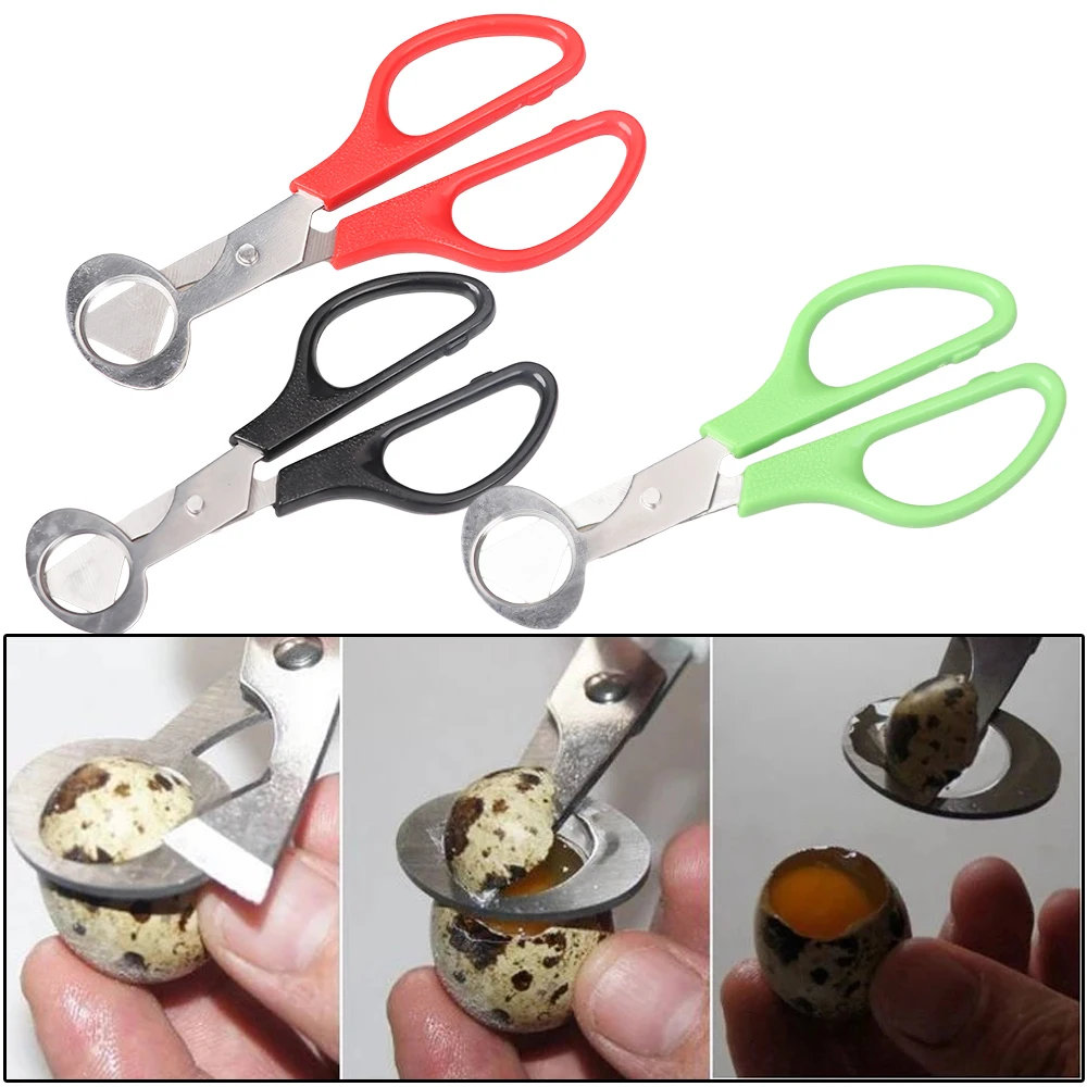 Quail Egg Scissors Bird Egg Scissors Stainless Steel Egg Cutters Eggshell Cutters Egg Opener Kitchen Hand Tools Scissors
Quail Egg Scissors Bird Egg Scissors Stainless Steel Egg Cutters Eggshell Cutters Egg Opener Kitchen Hand Tools Scissors