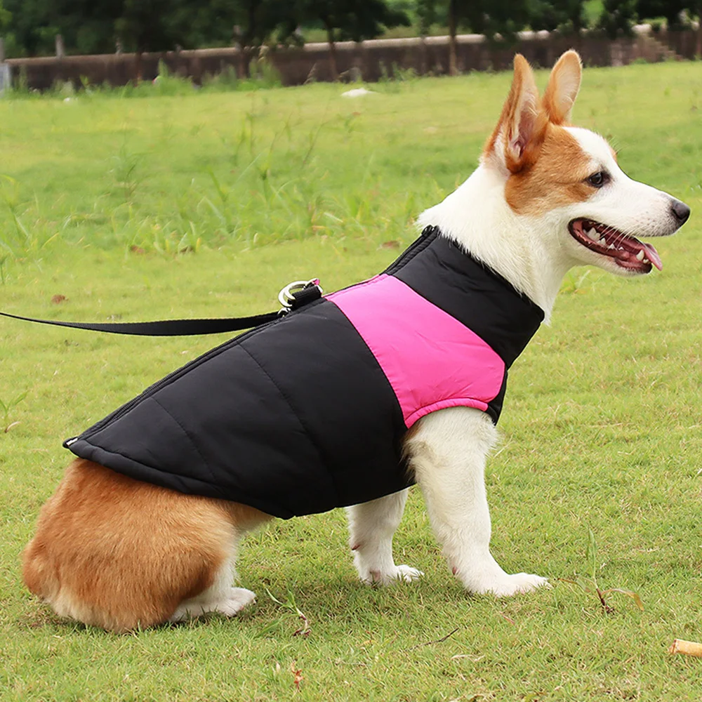 New pet dog clothing autumn and winter dog clothing thickened winter cotton vest pet cotton coat Waterproof coating
New pet dog clothing autumn and winter dog clothing thickened winter cotton vest pet cotton coat Waterproof coating