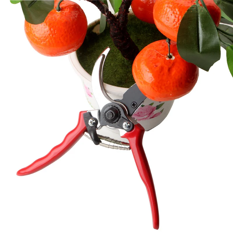 Red Handle Gardening Cutting Braches Fruit Tress Farm Garden Scissors Cutter Picking Fruit Flowers Farming Potted Pruning Tools
Red Handle Gardening Cutting Braches Fruit Tress Farm Garden Scissors Cutter Picking Fruit Flowers Farming Potted Pruning Tools