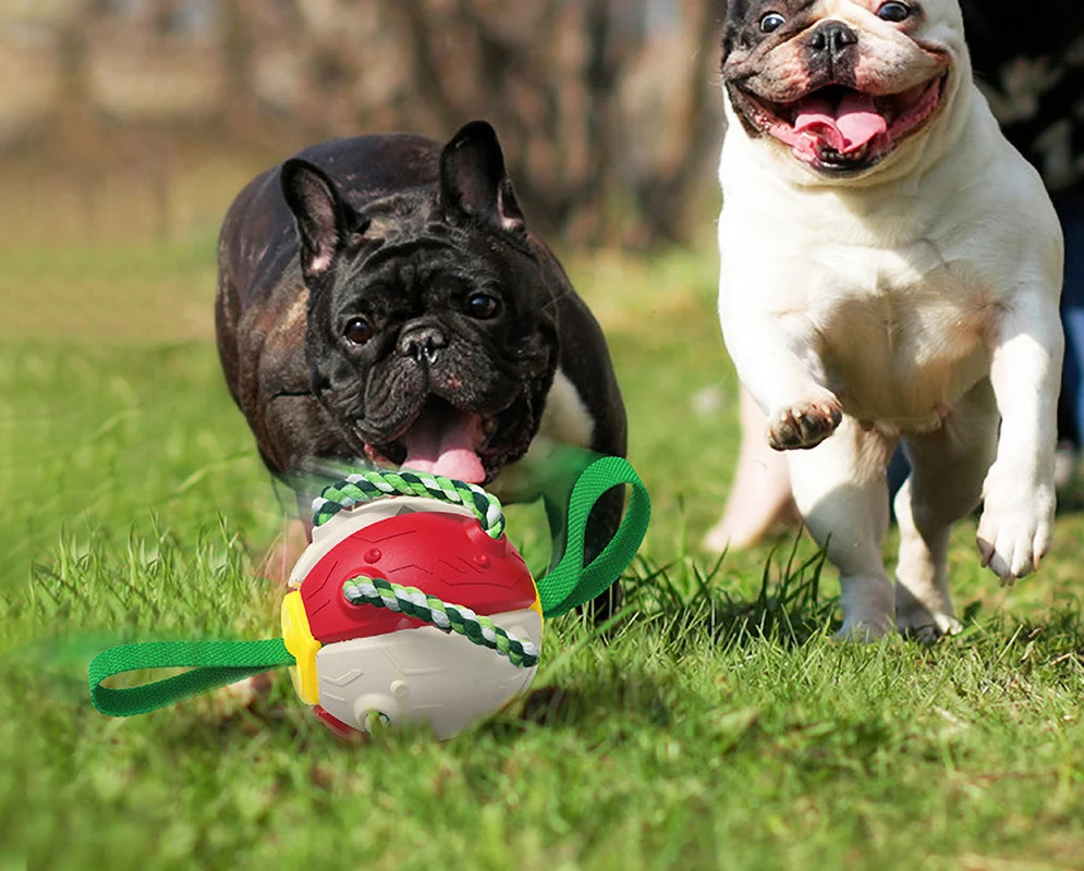 

Игрушки для собак, футбольный мяч с захватами, интерактивные игрушки для собак, подарки для щенков, игрушка для животных, водная игрушка для ...