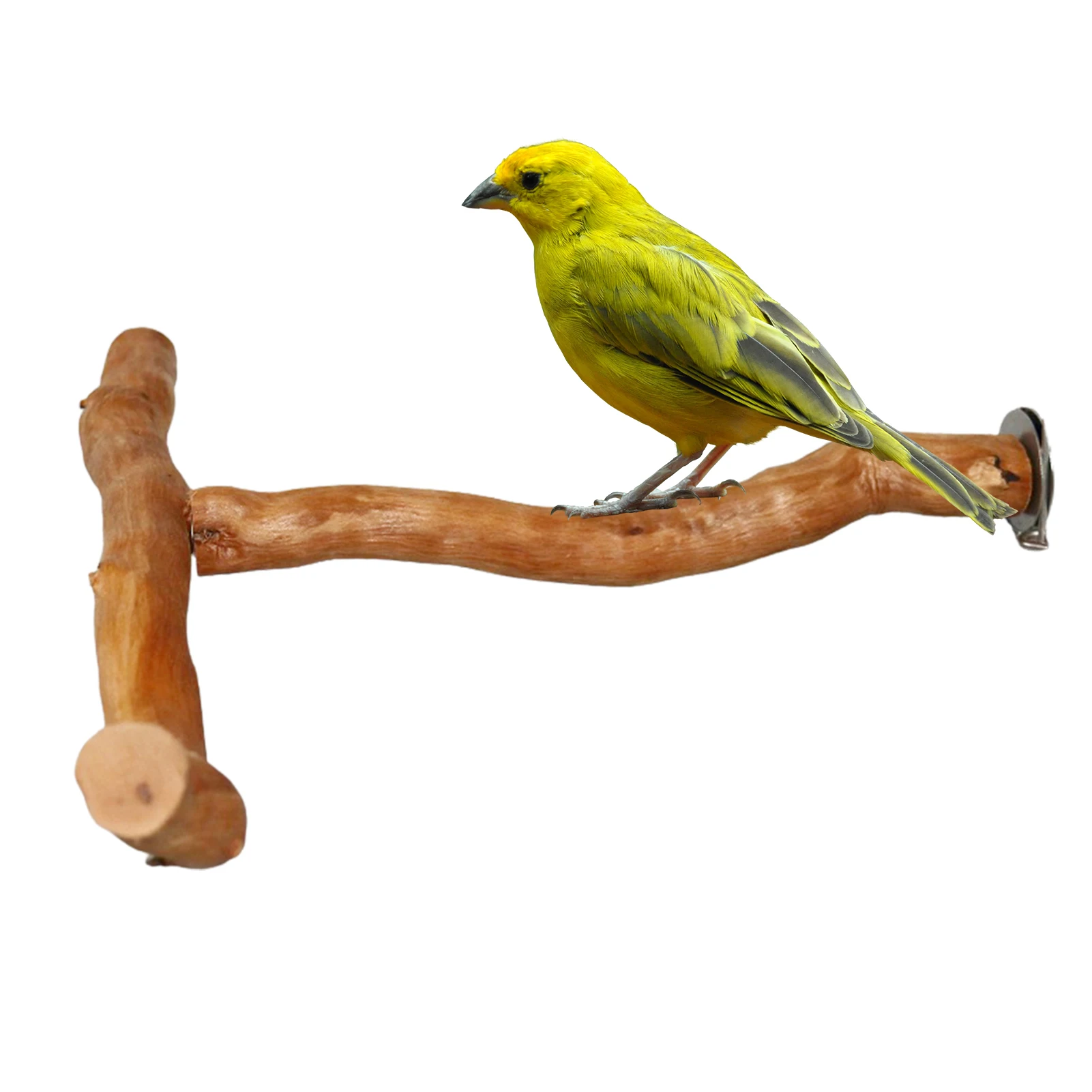 Pet Parrot Bird Standing Stick Wood Pole Parrot Toy Bird Cockatiel Parakeet Perches Bite Claw Grinding Toy Bird Cage Accessories
Pet Parrot Bird Standing Stick Wood Pole Parrot Toy Bird Cockatiel Parakeet Perches Bite Claw Grinding Toy Bird Cage Accessories