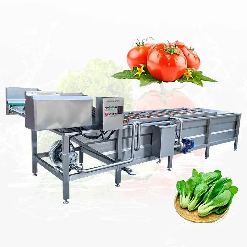 Multifunctional Tomato Ginger Air Bubble Dried Rinsing Cleaner High Pressure Surf Type Fruit Wash Machine
Multifunctional Tomato Ginger Air Bubble Dried Rinsing Cleaner High Pressure Surf Type Fruit Wash Machine