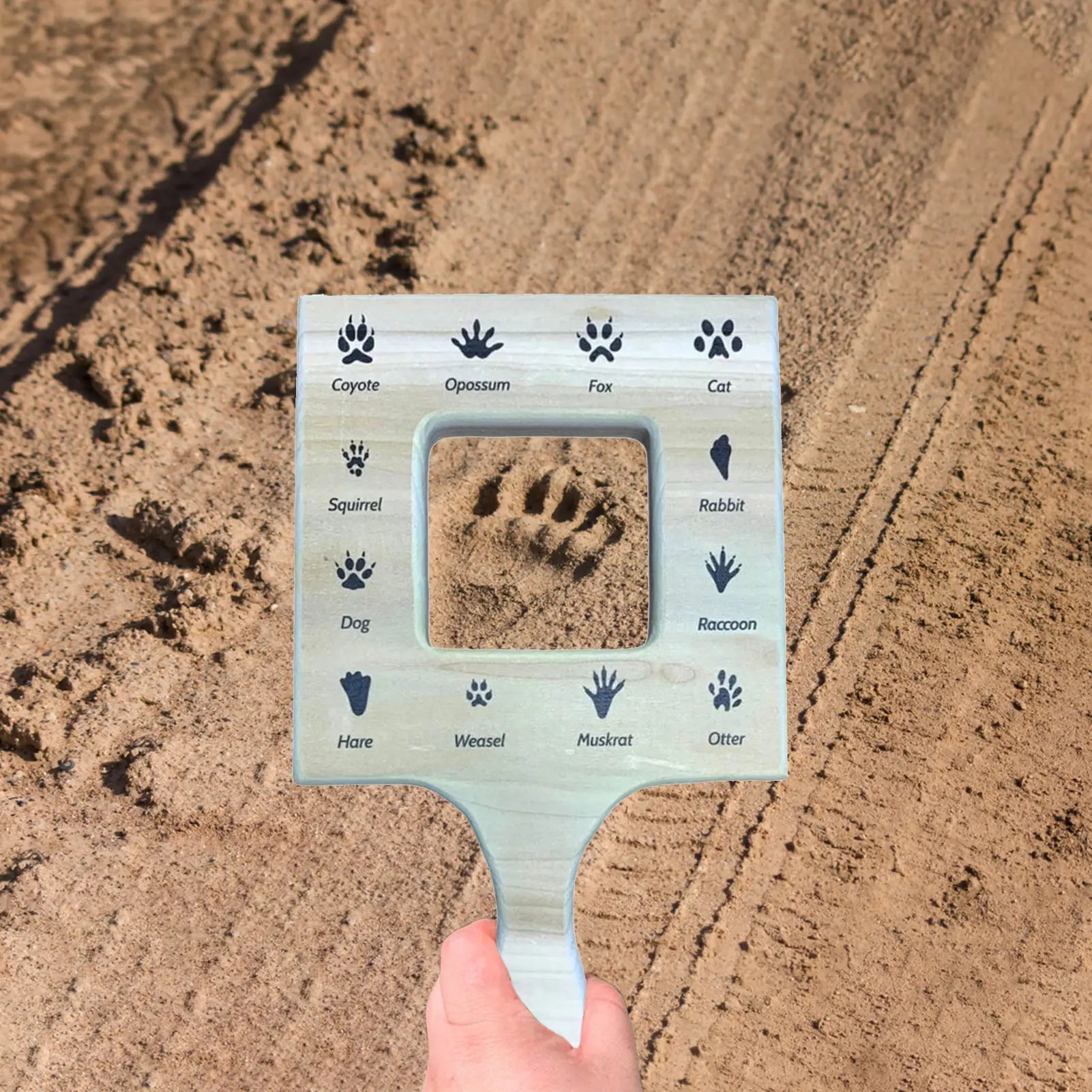 Nature Oriented Compass Easy To Use Camping Survival Compass Navigation And Survival Lightweight Compass For Walking Hiking And
Nature Oriented Compass Easy To Use Camping Survival Compass Navigation And Survival Lightweight Compass For Walking Hiking And