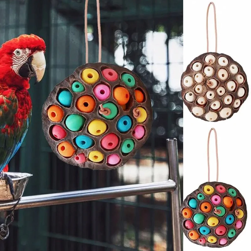 Parrot Bird Toys Dried Rosette Chewing String Wooden Beads Leather Rope Teething Supplies Manufacturer Wholesale
Parrot Bird Toys Dried Rosette Chewing String Wooden Beads Leather Rope Teething Supplies Manufacturer Wholesale