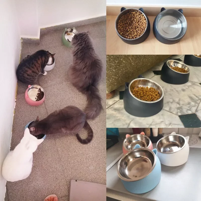 Dog Bowl 15 Degrees Raised Stainless Steel Non Slip Puppy Base Cat Food Drinking Water Feeder Tilt Safeguard Neck Pet Bowl
Dog Bowl 15 Degrees Raised Stainless Steel Non Slip Puppy Base Cat Food Drinking Water Feeder Tilt Safeguard Neck Pet Bowl