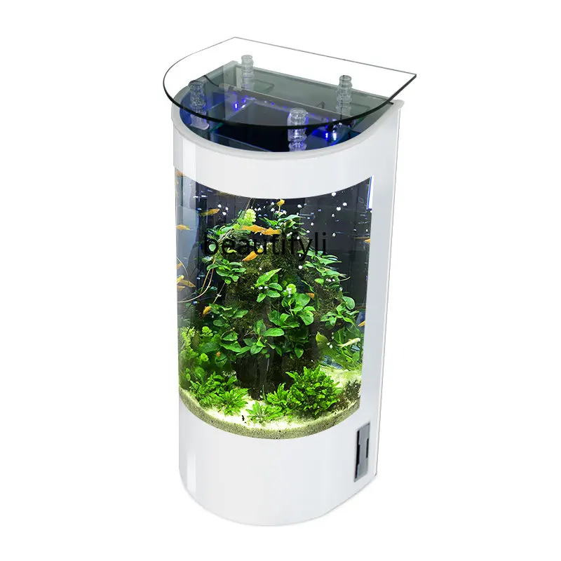 

zq Fish Tank beside TV Cabinet Living Room Small Change Water Floor Household Semicircle Glass Ecological Goldfish