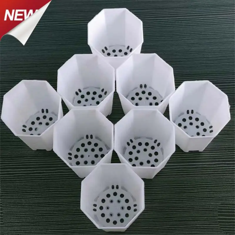 White Fleshy Plants Potted With Tray Flower Plate Garden Supplies Flowerpot Thickened Minimalist Planters Plastic Garden Pot
White Fleshy Plants Potted With Tray Flower Plate Garden Supplies Flowerpot Thickened Minimalist Planters Plastic Garden Pot