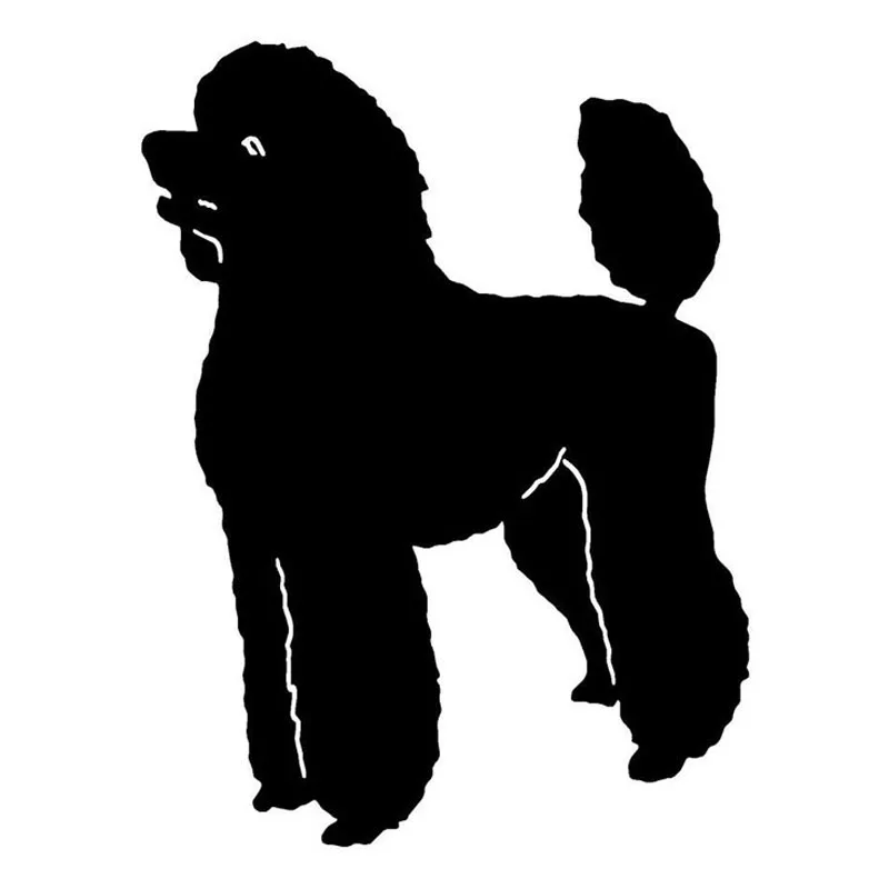 Black/Silver Poodle Dog Car Tail Stickers Reflective Vinyl Decal Car Styling Truck Accessories 9.7*12.8CM
Black/Silver Poodle Dog Car Tail Stickers Reflective Vinyl Decal Car Styling Truck Accessories 9.7*12.8CM