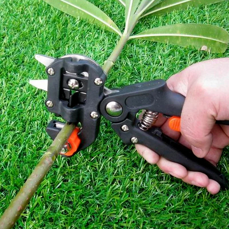 Grafting Pruner Garden Grafting Tool Professional Branch Cutter Secateur Pruning Plant Shears Boxes Fruit Tree Grafting Scissor
Grafting Pruner Garden Grafting Tool Professional Branch Cutter Secateur Pruning Plant Shears Boxes Fruit Tree Grafting Scissor