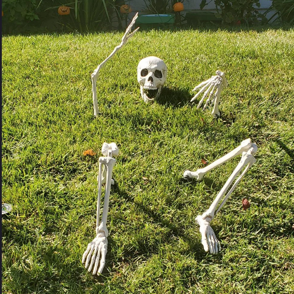1set Halloween Decoration Skull Skeleton Horror Graveyard Lawn Halloween Haunted House Trick Props Accessories Party Decoration
1set Halloween Decoration Skull Skeleton Horror Graveyard Lawn Halloween Haunted House Trick Props Accessories Party Decoration