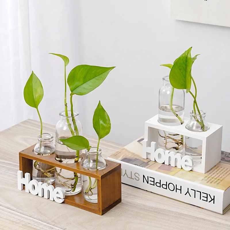 Nordic Glass Flower Vase Ins Flower Bottle Transparent Hydroponic Vase Glass Bottle for Flowers Desktop Decoration
Nordic Glass Flower Vase Ins Flower Bottle Transparent Hydroponic Vase Glass Bottle for Flowers Desktop Decoration