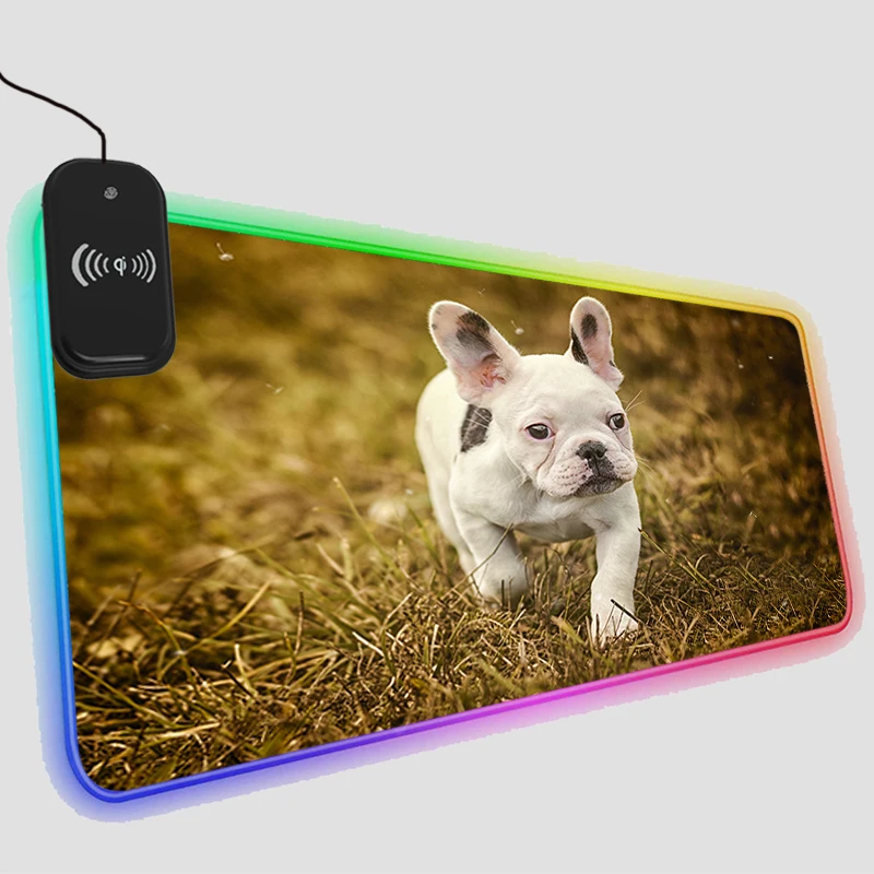 Коврик для мыши RGB с беспроводной зарядкой для телефона, светодиодный игровой коврик для французского бульдога, светящийся коврик, противоскользящие крутые аксессуары для компьютерного стола, коврик для мыши
Коврик для мыши RGB с беспроводной зарядкой для телефона, светодиодный игровой коврик для французского бульдога, светящийся коврик, противоскользящие крутые аксессуары для компьютерного стола, коврик для мыши