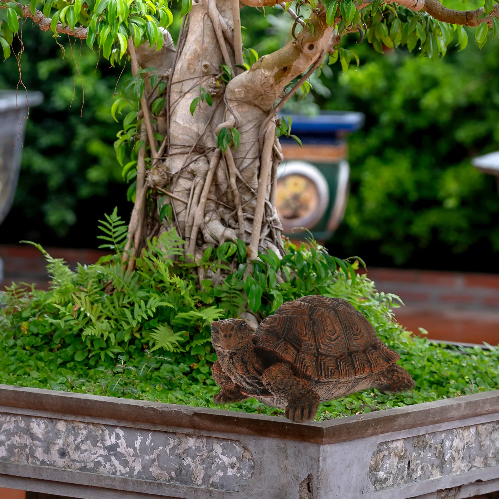 Toy Turtle Artificial Ornament Simulation Animal Model Ornaments Desktop Decoration Figure Single Realistic Figures
Toy Turtle Artificial Ornament Simulation Animal Model Ornaments Desktop Decoration Figure Single Realistic Figures