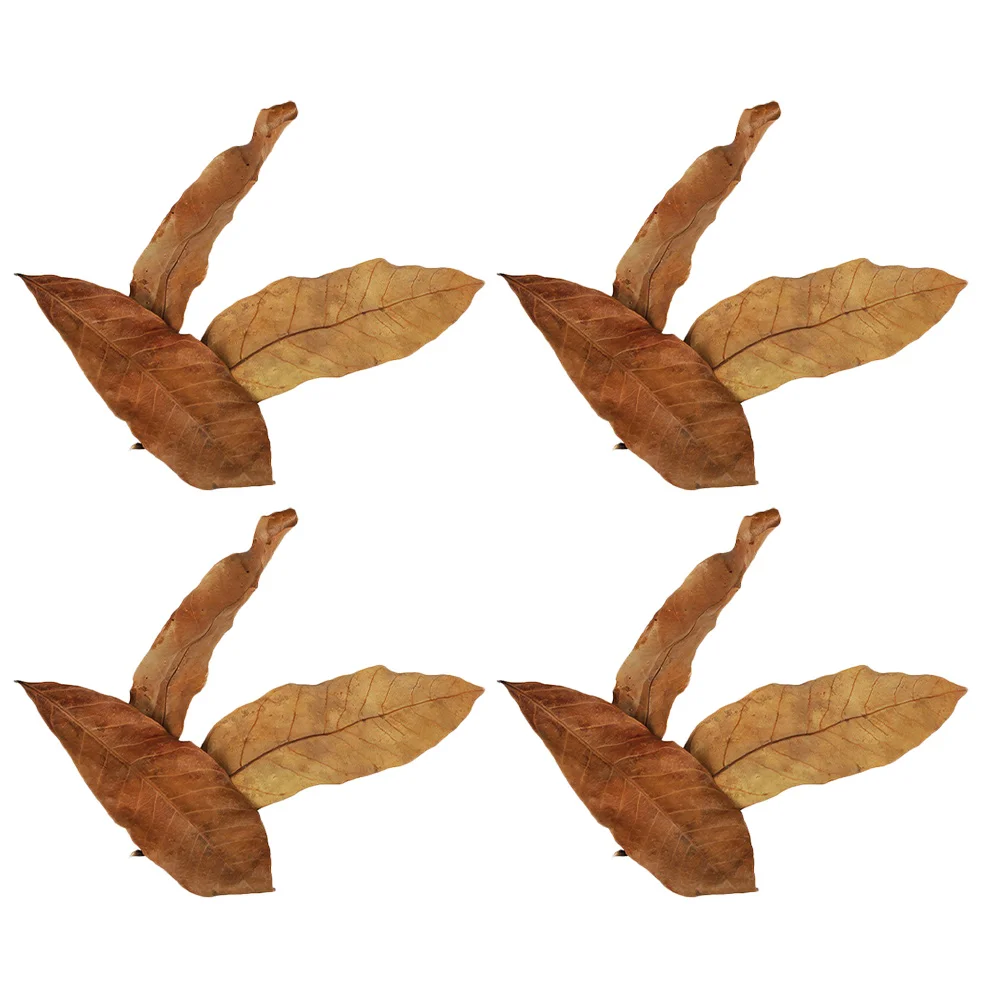 30 Pcs Terminalia Leaves Aquarium Natural Leaf Fish Tank Accessories Betta Bling Decor
30 Pcs Terminalia Leaves Aquarium Natural Leaf Fish Tank Accessories Betta Bling Decor