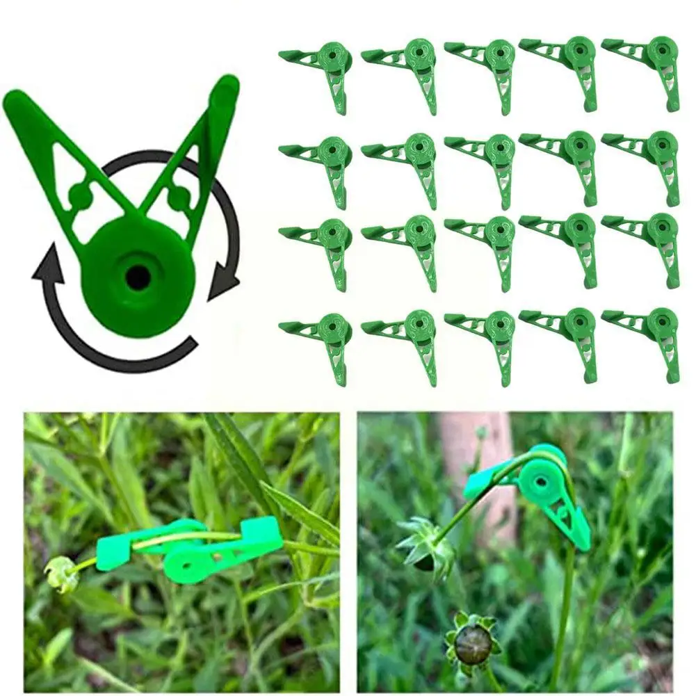 40pcs Plant Branches Bender Training Clip 360 Degree Adjustable Plant Growth Buckle Planter Holder For Low Stress Training S4v9
40pcs Plant Branches Bender Training Clip 360 Degree Adjustable Plant Growth Buckle Planter Holder For Low Stress Training S4v9
