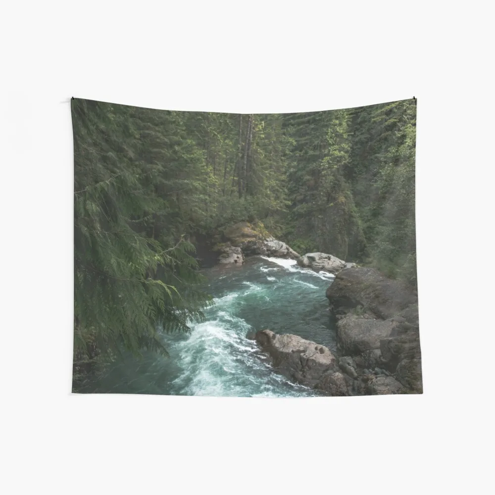 The Lost River - Pacific Northwest Adventures Wall Cover Funny Weird Carpet Wall Tapestries
The Lost River - Pacific Northwest Adventures Wall Cover Funny Weird Carpet Wall Tapestries
