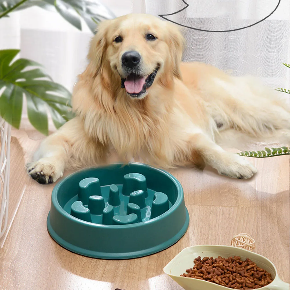 Small Dog Pet Feeding Anti-gulping Slip Dog Pet Slow Non Bowl Bowl Food Slower Feeder Bowl For Puzzle Dishes Puppy Dogs Medium
Small Dog Pet Feeding Anti-gulping Slip Dog Pet Slow Non Bowl Bowl Food Slower Feeder Bowl For Puzzle Dishes Puppy Dogs Medium