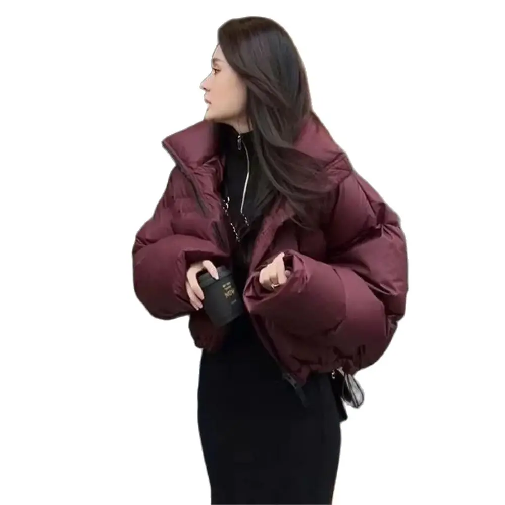 Short Style Parkas Women Loose Leisure Solid All-match Harajuku Trendy Stand Collar Overcoats Simple Design Ulzzang Streetwear
Short Style Parkas Women Loose Leisure Solid All-match Harajuku Trendy Stand Collar Overcoats Simple Design Ulzzang Streetwear