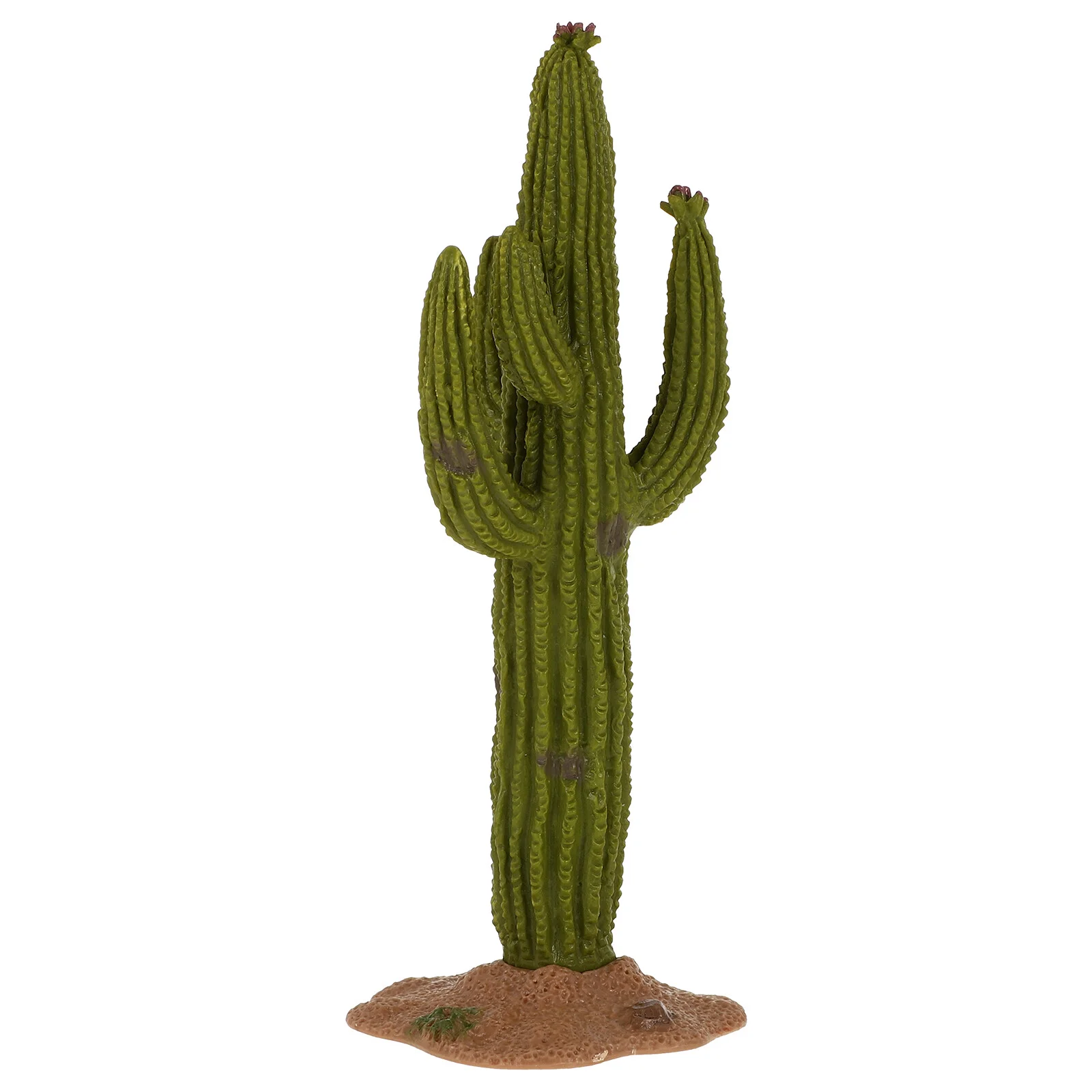 Accessories Mini Plants Small Cactus Ornament Vivid Model Table Decor Scene Resin Simulated Home Adornment Desktop
Accessories Mini Plants Small Cactus Ornament Vivid Model Table Decor Scene Resin Simulated Home Adornment Desktop