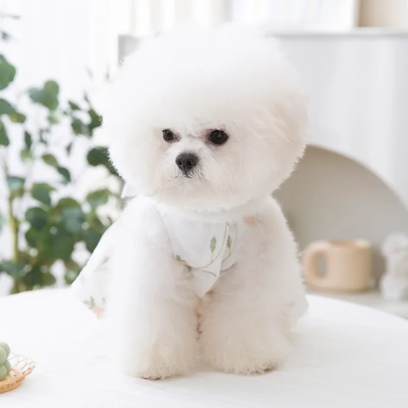 Pet Supplies Small Dog Flower Princess Dress Kitty Teddy New Pet Clothes Cute Dog Skirt Summer Thin Pet Accessories
Pet Supplies Small Dog Flower Princess Dress Kitty Teddy New Pet Clothes Cute Dog Skirt Summer Thin Pet Accessories