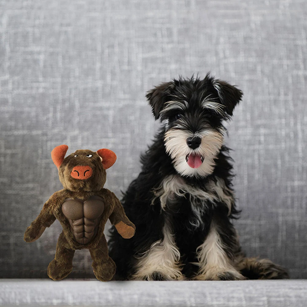 Pet Squeak Plush Toys Dog Teeth Grinding Bite Resistant Toys Training Play Interactive Toys Large Medium Small Size Pet Supplies
Pet Squeak Plush Toys Dog Teeth Grinding Bite Resistant Toys Training Play Interactive Toys Large Medium Small Size Pet Supplies
