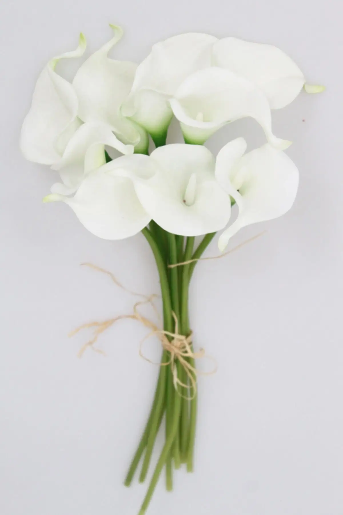 Artificial Flower Wet Gala Flower 8 Branch Clear White Bridal Bouquet, Wedding, Engagement, Invitation, Party, table Decoration, Vase Quality and Cheap
Artificial Flower Wet Gala Flower 8 Branch Clear White Bridal Bouquet, Wedding, Engagement, Invitation, Party, table Decoration, Vase Quality and Cheap