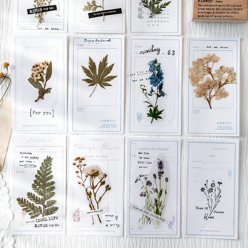 Yoofu 60pcs/pack Creative Natural Plants Memo Pads Leaf Message Notes Planner To Do Check List School Office Stationery
Yoofu 60pcs/pack Creative Natural Plants Memo Pads Leaf Message Notes Planner To Do Check List School Office Stationery
