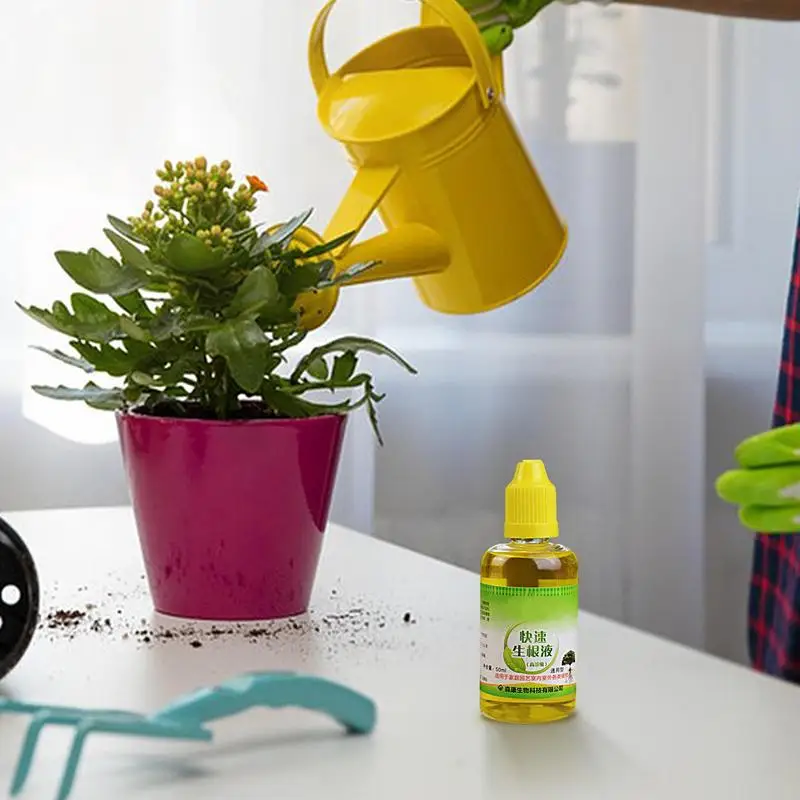 Rapid Rooting Solution Rooting Supplements For Cuttings Succulent Practical Root Agent Liquid Root Growth Foliar Fertilizer
Rapid Rooting Solution Rooting Supplements For Cuttings Succulent Practical Root Agent Liquid Root Growth Foliar Fertilizer