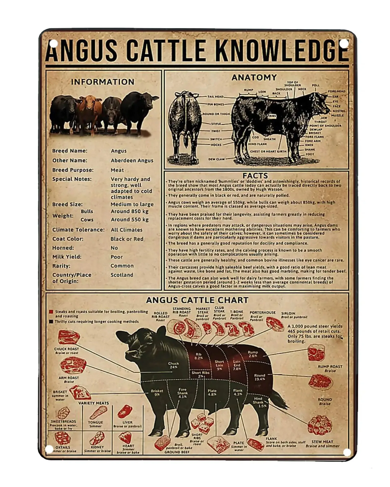 Знания Angus о крупном рогатом, деревянные знаки, Инфографика, анатомическая диаграмма, таблички, традеры, Справочное руководство, деревянный ...
Знания Angus о крупном рогатом, деревянные знаки, Инфографика, анатомическая диаграмма, таблички, традеры, Справочное руководство, деревянный ...