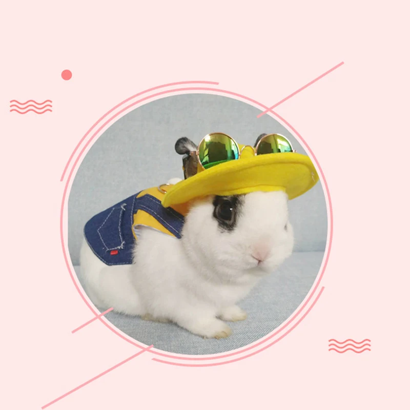 Cute Bunny Vest Harness Leash Set Rabbit Clothes Suit Small Animals Outfit Bunny Vest Harness Leash Set Bunny GQ
Cute Bunny Vest Harness Leash Set Rabbit Clothes Suit Small Animals Outfit Bunny Vest Harness Leash Set Bunny GQ